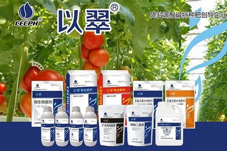 多肉上盆后多久浇水