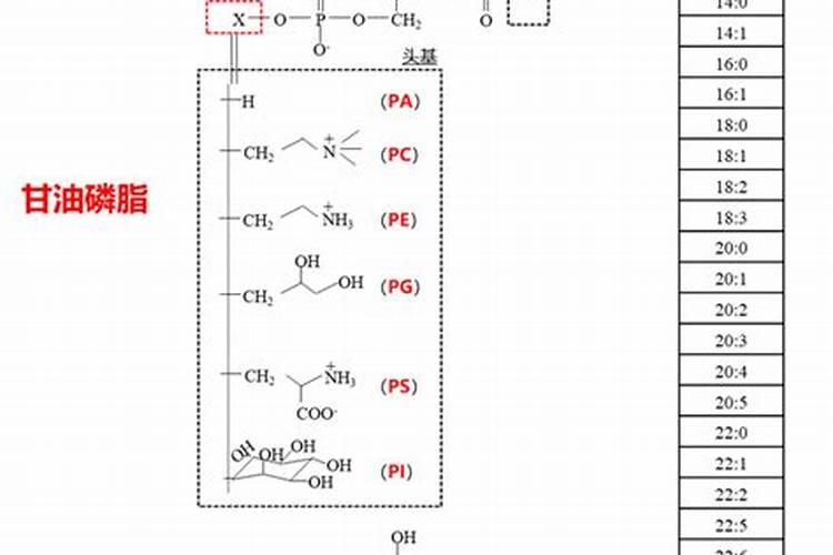 磷肥对果树的作用是什么