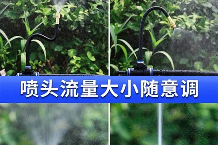 ...花浇什么叶子翠绿(盆栽花浇什么叶子翠绿？揭秘植物养护的秘诀!)百度...