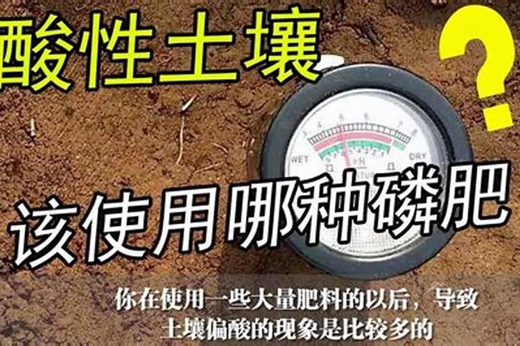 磷肥有哪些 变成作物能利用的形态