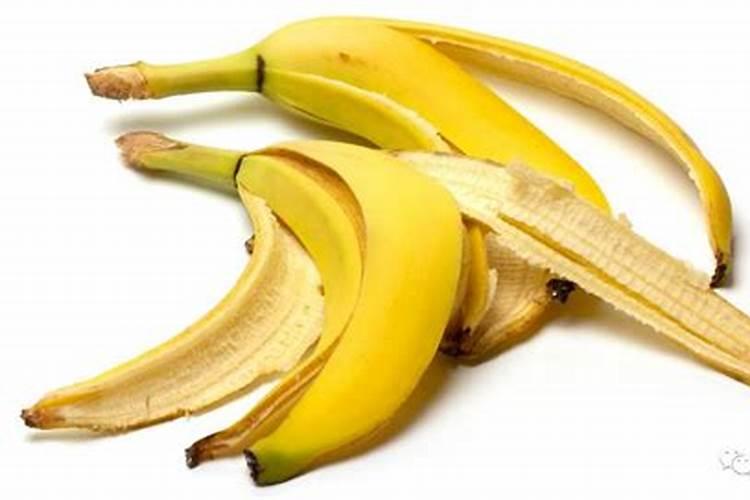 请问下水果皮香蕉皮树叶子腐烂了可以当肥料吗？