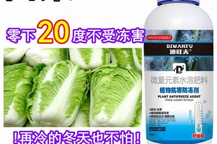 大葱用什么叶面肥效果好？大葱根茎块膨大素哪家好？