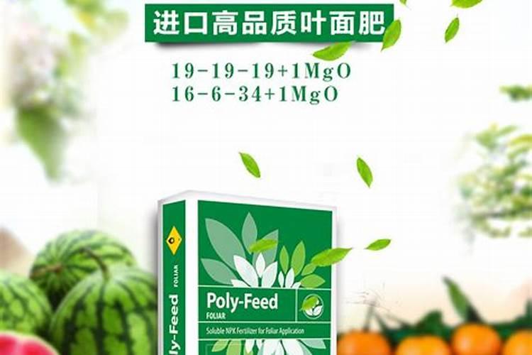 水溶肥可以叶面喷吗