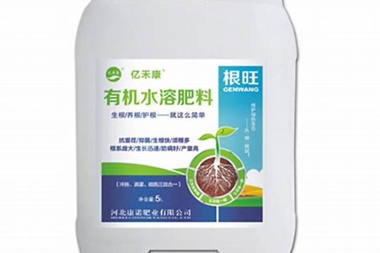 豆角茎粗根旺用什么喷施？