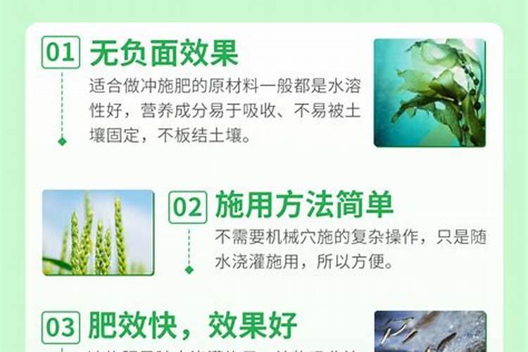 巨峰葡萄转色期间地下冲施海澡鱼蛋白可不可以