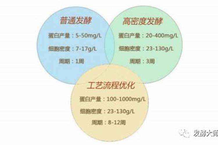 发酵鱼蛋白为什么发臭了