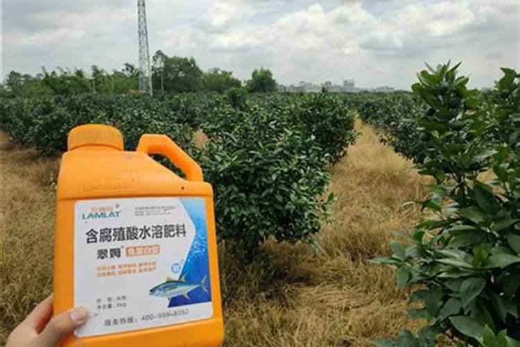 腐植酸水溶肥是什么肥料 腐植酸水溶肥料的作用有哪些