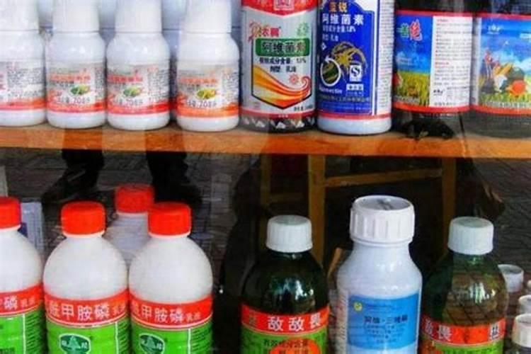 水溶肥是什么肥料