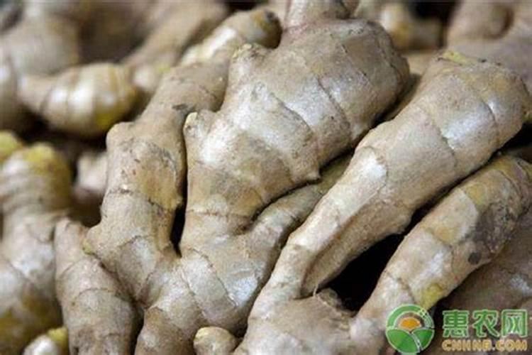 糖化硼可以在客厅用吗有毒吗