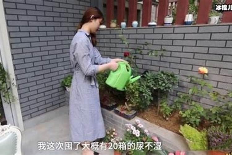 烂水果可以发酵做肥料吗