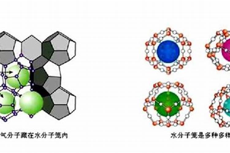 淘米水是被划分到氮肥里还是磷肥里呢
