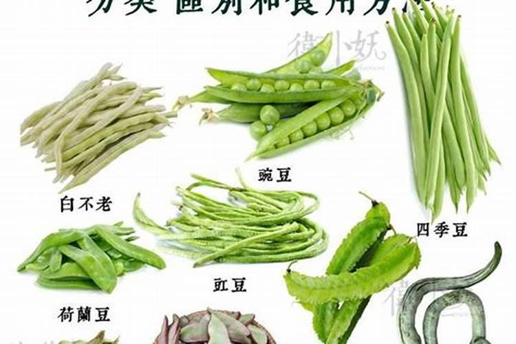种豆角用什么肥料最好 种豆角用磷酸二氢钾肥可以吗