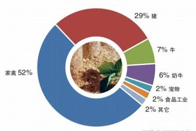 豆粕能往什么花上上