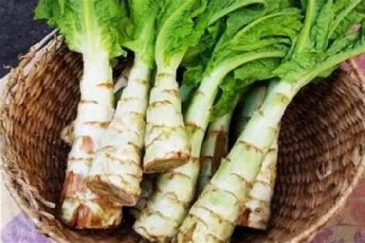 红满田尖叶红莴笋种植技术