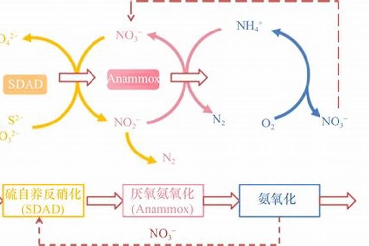 硝铵化肥的功效和用途 可以与哪些肥料混用