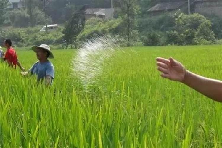 水溶肥浓度高的好还是浓度低的好
