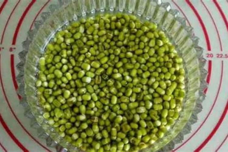 怎么发酵大豆液体肥料