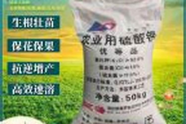 冬小麦底肥用什么化肥