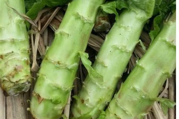 秋季想种植莴笋,具体要注意什么呢？