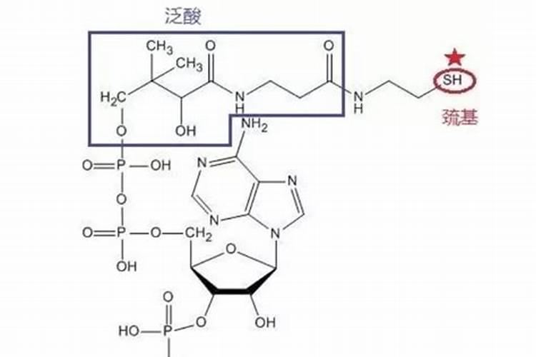 能让玉米增加10%产量的叶面肥