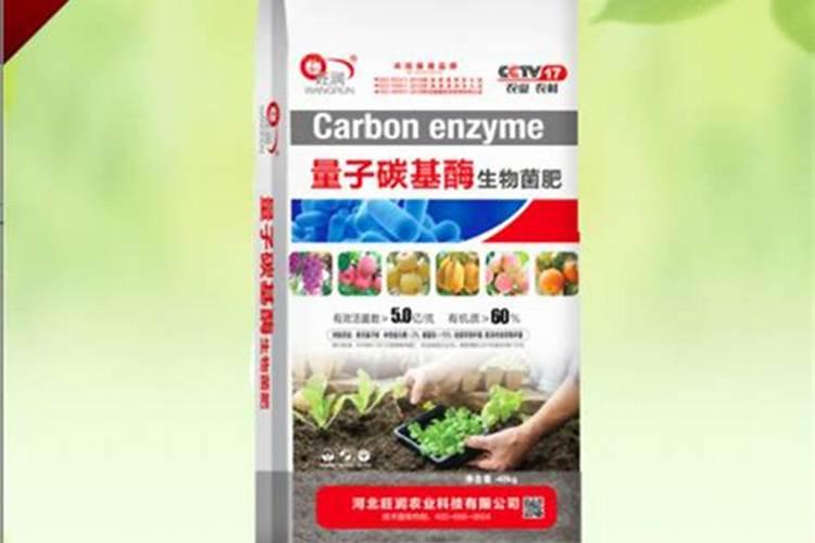 什么是聚碳酶？