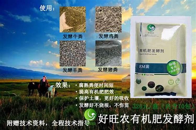 小麦如何发酵制肥料