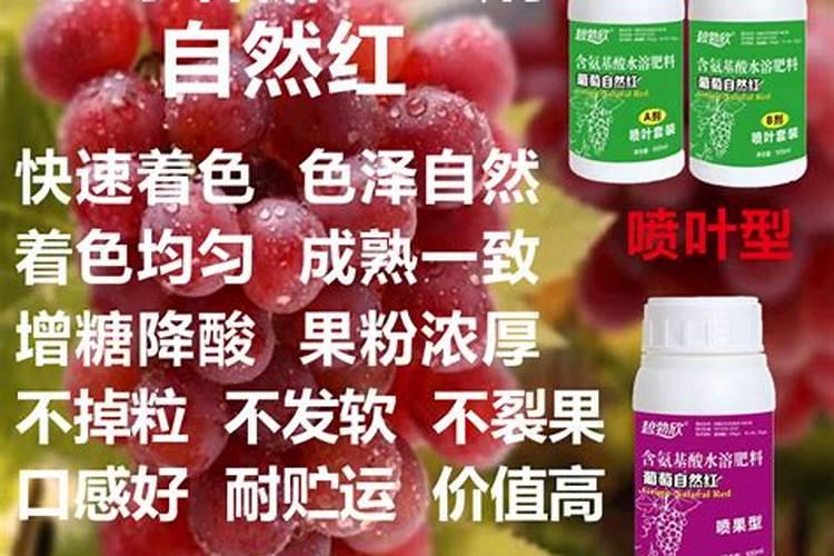 葡萄后期老不红怎么办