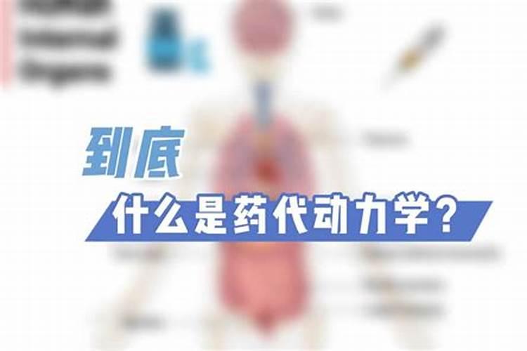 水溶肥十大名牌,摩力水溶肥效果极好