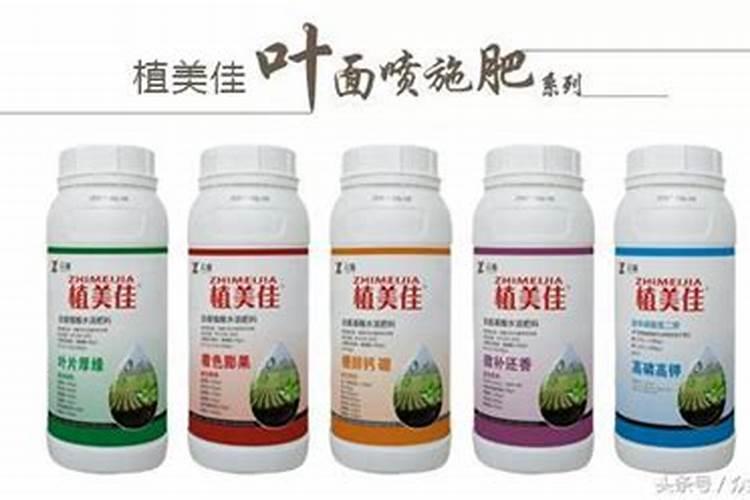 什么是葡萄卷叶病？