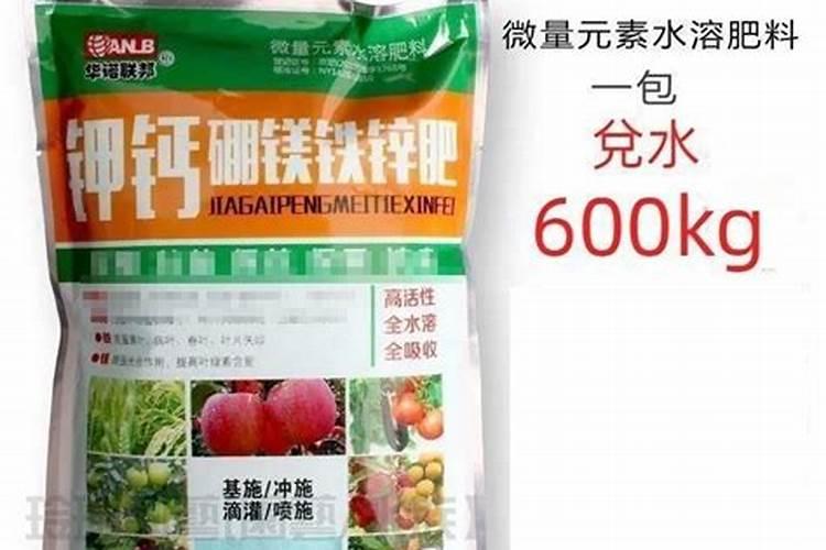 往茄子秧根部浇硼砂水行吗