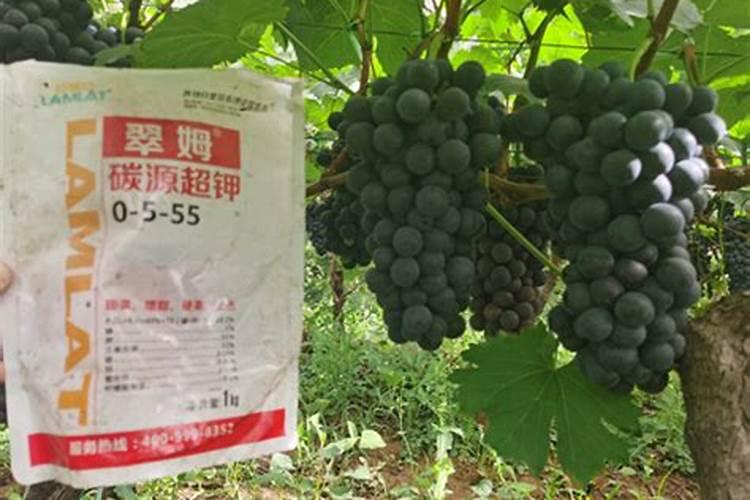 谷乐丰水溶肥价格