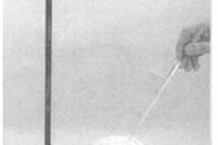 常用的氮、磷、钾肥有氯化铵、过磷酸钙、氯化钾等.鉴别这三种化肥可采...