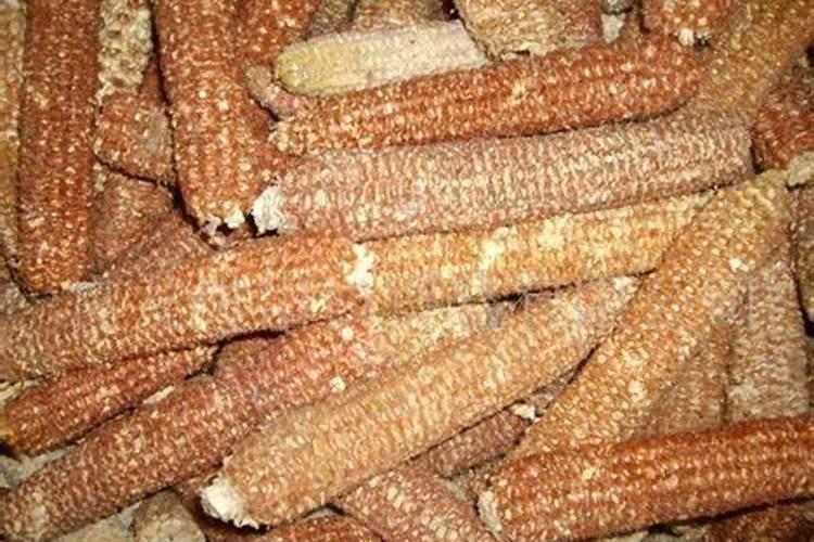 玉米芯怎么做成有机肥？