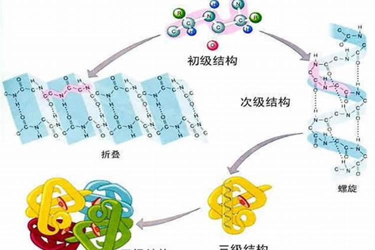 氨基酸、多肽、鱼蛋白:农业肥料界的 “三兄弟” 谁更牛？