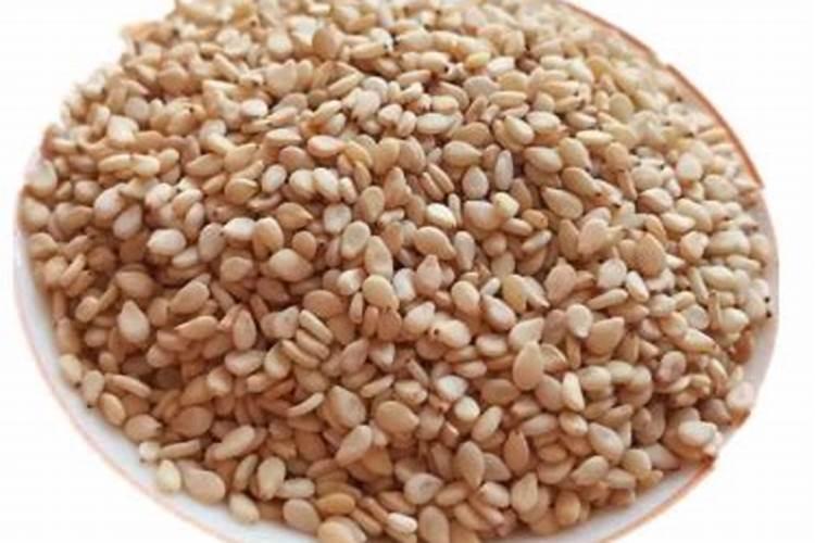 盆里撒把粉面儿,花吃了蹭蹭长,比10瓶营养液还厉害!