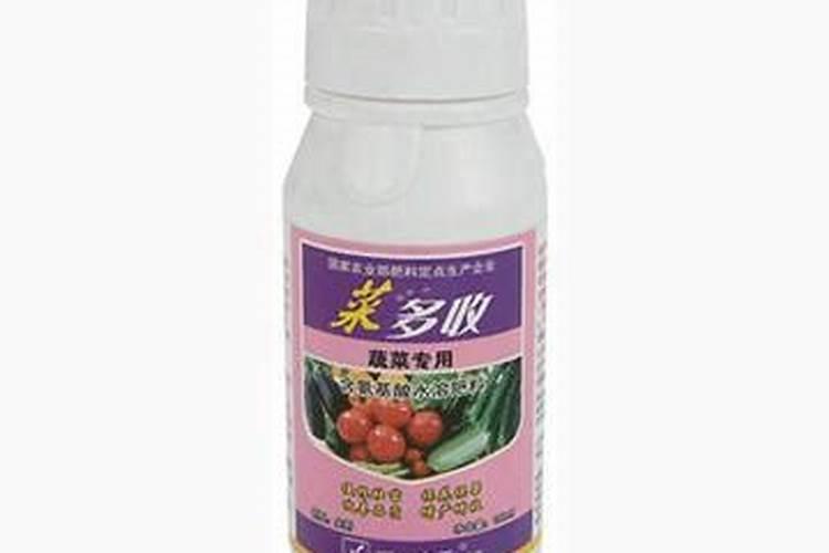 水溶肥菜地多久吸收完