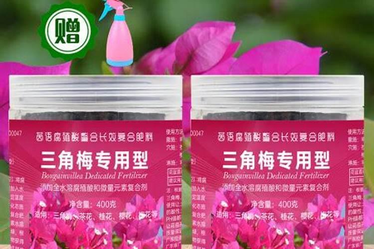 三角梅不开花时用什么肥料
