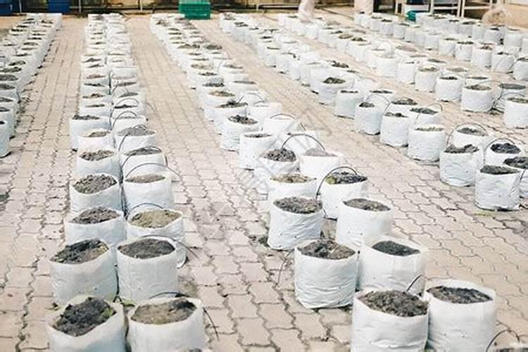 请问什么是螯合肥？具体和复合肥相比有什么不同？谢谢