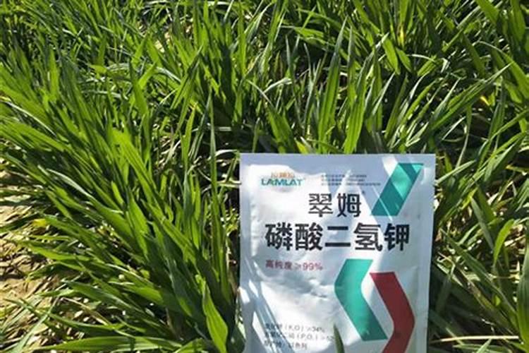 晶体钾肥好还是红钾好