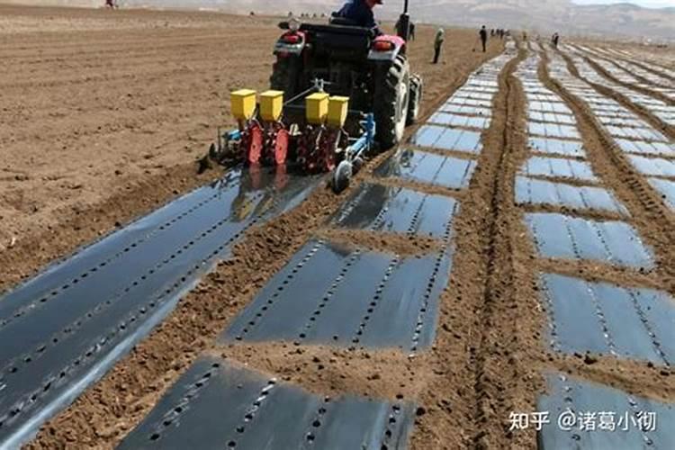 一亩种子是多少？肥料使用量多少？