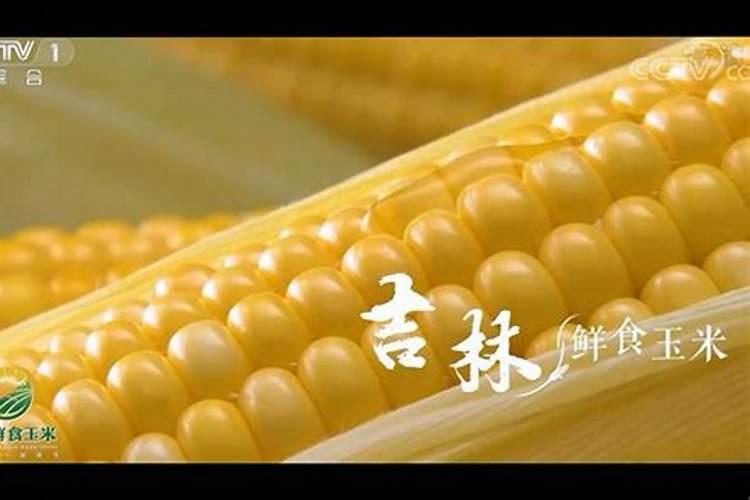 玉米打叶面肥用进口叶面肥用哪个国家的好