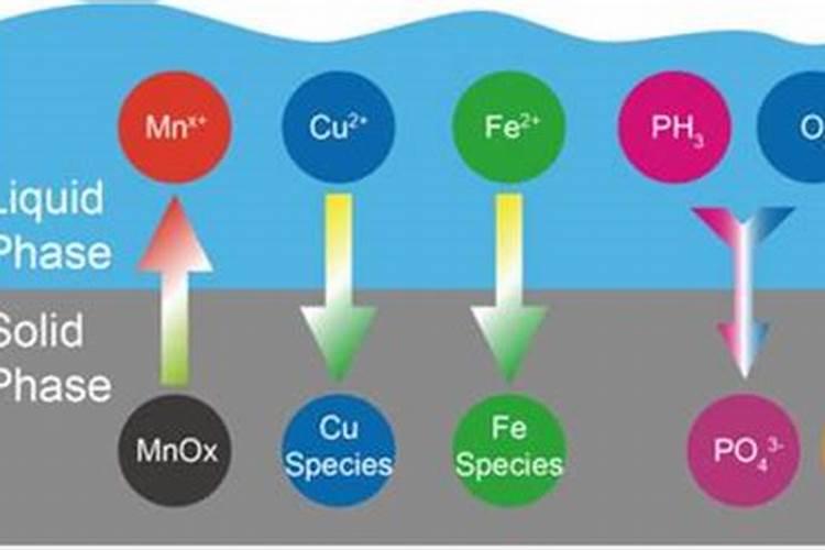 水稻僵苗原因是什么