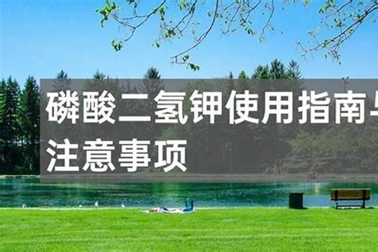 磷酸二氢钾多久喷一次