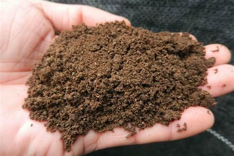 家庭养花自制氮肥有哪些