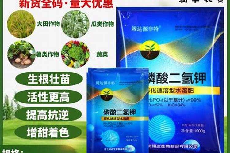 玉米金大棒一瓶盖会有多少克的量呢