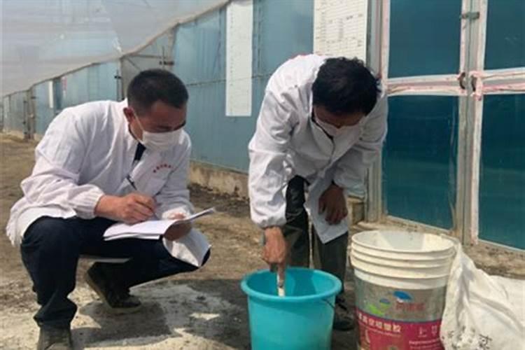 芸苔素内酯可以滴灌冲施吗一亩地冲是多少？