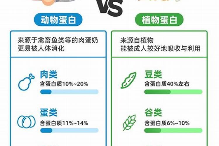 动物蛋白和植物蛋白有什么不同？