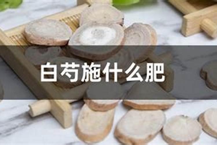 含氯肥料适合哪些作物,啥作物不能施含氯肥料