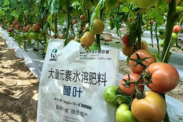 花生、大豆喜欢硫基肥还是氯基肥？