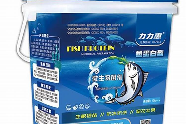 30斤鱼蛋白灌根最佳方法